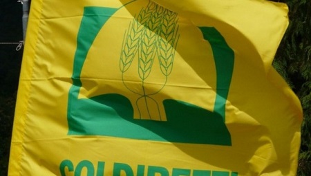 “Bollini allarmistici sono contro produzioni calabresi” Lo dichiara Coldiretti Calabria