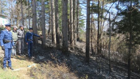 Individuato responsabile incendio boschivo sulla Sila L'uomo aveva appiccato il fuoco a della vegetazione con l'intento di far pulizia nel suo fondo agricolo