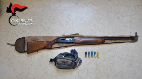 Denunciato cacciatore sorpreso a sparare ai falchi pecchiaioli Era all’interno della Zona di Protezione Speciale “Costa Viola”