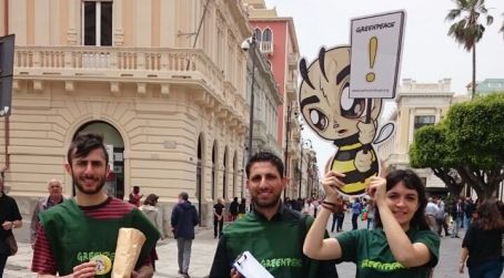 Reggio, attività di sensibilizzazione di Greenpeace Lotta contro pesticidi dannosi per api e altri impollinatori