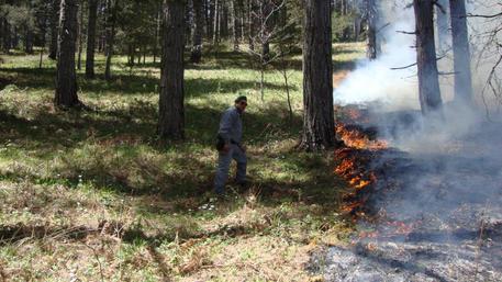 Brucia rifiuti e provoca incendio bosco, denunciato Individuato dai carabinieri forestali di Taverna