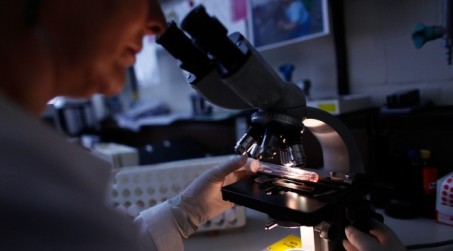 Lotta al cancro, un virus per attaccare i tumori Uno studio condotto da ricercatori delle università di Ginevra e Basilea apre nuovi scenari per sconfiggere la malattia