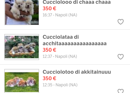 Cuccioli cane, scoperti negozi clandestini on line Segnalati all'Associazione Italiana Difesa Animali ed Ambiente - AIDAA