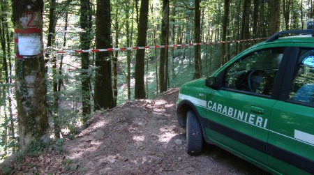 Ambiente, otto denunce dei Carabinieri Forestali Coinvolte nel taglio abusivo e furto di piante all'interno di un sito di interesse comunitario