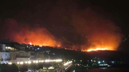 Caldo record in Calabria, oltre 500 incendi nella Regione Le fiamme hanno divorato centinaia di ettari di vegetazione