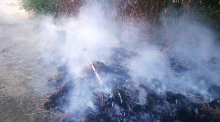 Combustione illecita rifiuti, denunciato da carabinieri All'uomo comminata anche una sanzione amministrativa