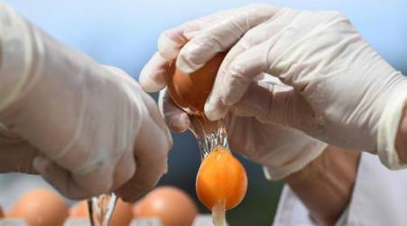 Uova fresche calabresi contaminate, scatta il ritiro Rischio grave per la salute dei consumatori per pericolo di tossicità