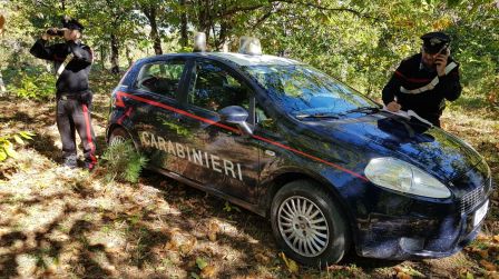 Carabinieri ritrovano anziano scomparso da casa riposo L'uomo è stato avvistato nei pressi di un bosco