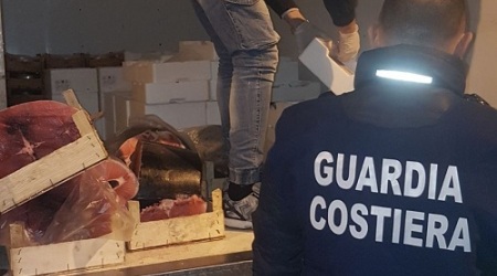Villa, blitz agli imbarcaderi: sequestro di prodotti ittici Controlli della Guardia Costiera e della Sezione Operativa Navale della Guardia di Finanza