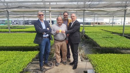 Azienda di De Gregorio Aniello aderisce a Coldiretti Partnership con il più grande ortovivaista calabrese con una produzione di 150 milioni di piantine l’anno