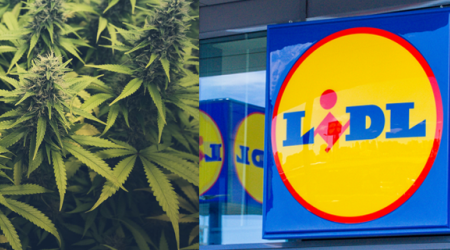 Supermercato Lidl “apre” alla marijuana in Svizzera Tre grammi di erba con principio attivo nei limiti costano poco meno di 17 euro