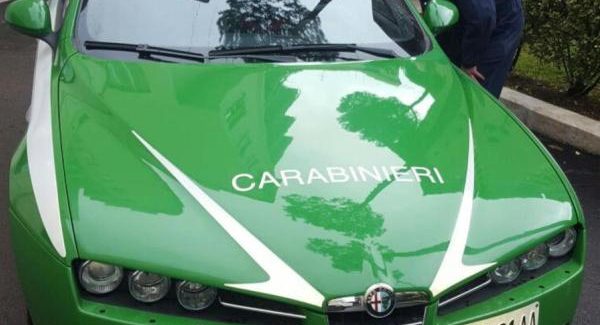Concorso in concussione, arrestate due persone C'è anche un dirigente regionale di Calabria Verde