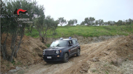 Strada abusiva in zona vincolata, due denunce Operazione dei carabinieri forestale