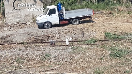 Tagliavano legna in cantiere per rubarla, arrestati Fermati dai Carabinieri