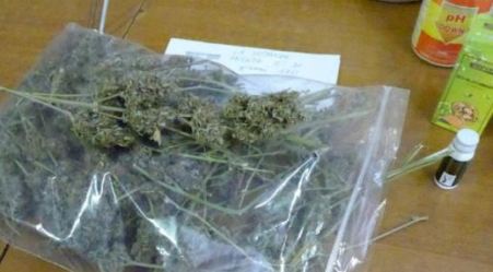 Diverse dosi di droga in tasca, arrestato spacciatore 45enne L'uomo è stato sorpreso dai Carabinieri mentre cedeva marijuana ad un ragazzo