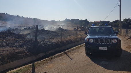 Incendio ed evasione, un arresto ad Antonimina Sorpreso dai Carabinieri ad appiccare un incendio all'interno di un fondo agricolo