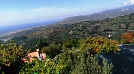 Calabria, 40% in meno di produzione di olio d’oliva Molinaro, presidente di Coldiretti: "Richiesta di calamità naturale"