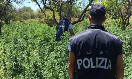 La Polizia arresta due pregiudicati di San Luca Per i reati di produzione, traffico e detenzione illecita di sostanze stupefacenti e furto