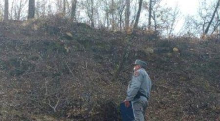 Taglio di bosco senza autorizzazione: due denunce Irregolarità nella documentazione riscontrate dai Carabinieri Forestale