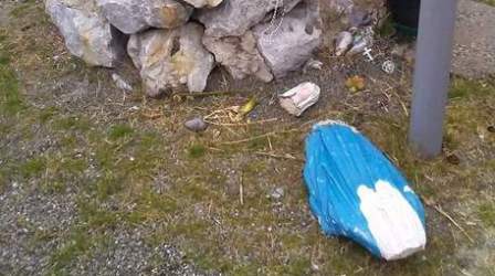 Calabria, distrutta dai vandali statua Madonnina Indagini per identificare responsabili. Lo sdegno dei fedeli