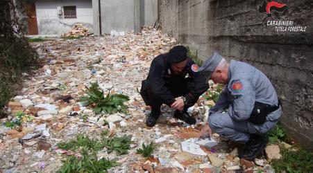 Vestiti e resti umani tra rifiuti cimiteriali, denunciato priore La scoperta è stata fatta dai Carabinieri Forestale
