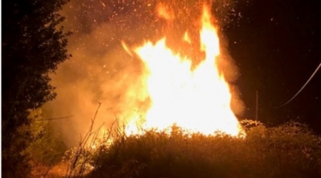 Beccato mentre appicca incendio boschivo, arrestato Un uomo di 61 anni è stato bloccato dai Carabinieri Forestale
