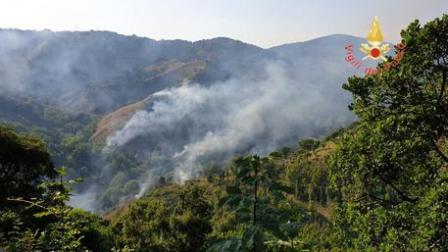 Rogo si sviluppa vicino Parco biodiversità Catanzaro Le fiamme si sono propagate su due fronti su una zona particolarmente impervia