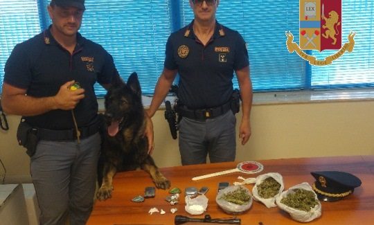 Controlli Carabinieri, scoperta droga grazie a cane poliziotto La sostanza stupefacente è stata posta sotto sequestro a carico di ignoti
