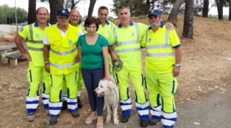 Recuperato su autostrada Mediterraneo cane abbandonato Salvato dagli uomini dell'Anas