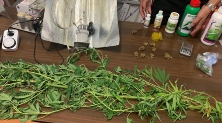 Mini laboratorio droga nello sgabuzzino, arrestato giovane Alla vista dei Carabinieri ha tentato di disfarsi di una pianta di marijuana lanciandola sul tetto dell'abitazione