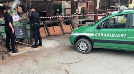 Attività abusiva da dieci anni: sequestrata segheria I Carabinieri Forestale hanno denunciato il proprietario