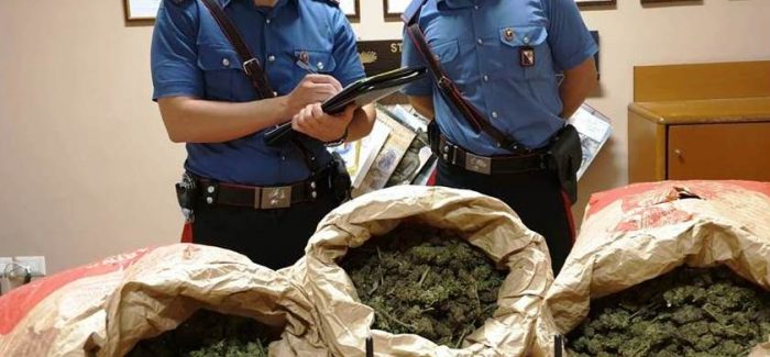 Sorpresi con 9 kg di marijuana, tre arresti I tre di San Luca, sono stati sorpresi con la sostanza stupefacente ieri notte dai Carabinieri