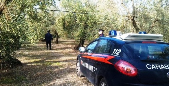 Uomo ucciso a Reggio Calabria, iniziano a delinearsi i contorni dell’omicidio Francesco Cuzzocrea è stato imputato in procedimenti penali riguardanti contesti di associazione di tipo mafioso