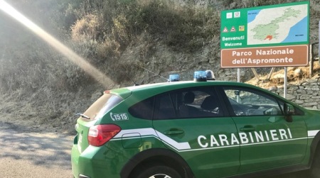Appiccato incendio al Parco Nazionale d’Aspromonte I Carabinieri Forestale hanno arrestato un uomo di 54 anni in flagranza di reato