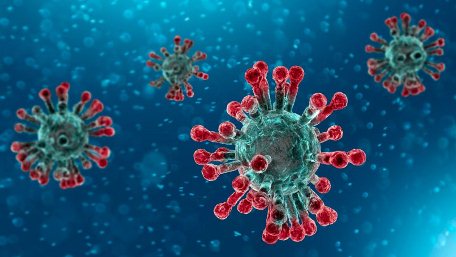 Coronavirus, Bollettino della Regione, salgono i contagiati in Calabria Le persone risultate positive al Coronavirus sono 273 (+38 rispetto a ieri), quelle negative sono 2599