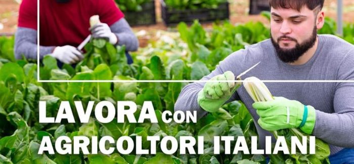 CIA Calabria: al via piattaforma online per lavorare in agricoltura