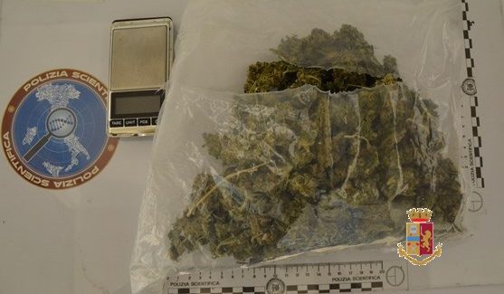 Altro arresto della Polizia di Stato di un giovane per detenzione di stupefacenti ai fini di spaccio Le analisi, mediante narcotest a cura del Gabinetto Provinciale della Polizia Scientifica, certificavano che la sostanza era marijuana per un peso di 193,97 grammi