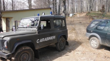 Arrestate 5 persone nel reggino perché sorpresi a razziare piante di leccio in un bosco privato Continua la pressione dei Carabinieri Forestali contro il grave fenomeno dei tagli boschivi abusivi nel territorio della provincia di Reggio Calabria