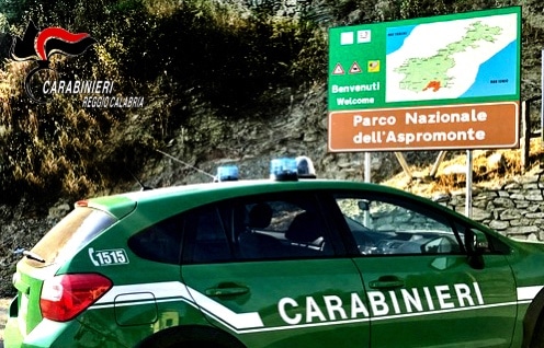 Dispersi all’interno del Parco Nazionale d’Aspromonte, ritrovati dai carabinieri forestali Smarritosi in località “Nino Martino” agro del Comune di Scilla