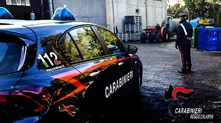 San Lorenzo e Condofuri: controlli dei carabinieri sulla filiera agroalimentare, sanzioni fino a 16.000 euro