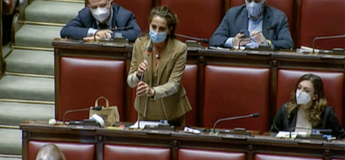 Decreto Calabria, Wanda Ferro (FDI) contraria con dichiarazione alla Camera dei Deputati