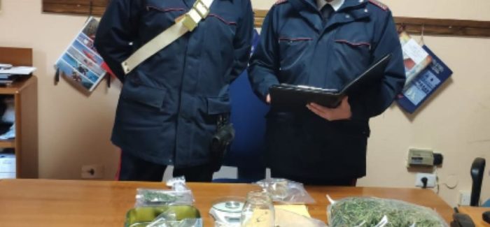 Grisolia (Cosenza),  piantine di marijuana sul balcone carabinieri arrestano coniugi per droga