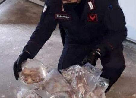 Delianuova, tre arresti per produzione di stupefacenti e cattura di animali di specie protetta Oltre 200 ghiri rinvenuti nel congelatore, confezionati in pacchetti