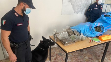 Due arresti per droga dei Carabinieri di Paola Nell’abitazione sono state trovate inoltre due cartucce da fucile ed altri 250 grammi di stupefacente