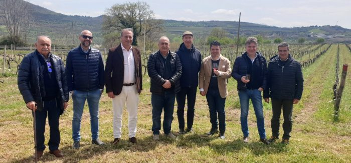 Nascono e si producono sul Pollino e in Sila i grandi vini di Magna Graecia Condividere la passione di un vitigno autoctono nei due Parchi nazionali della provincia di Cosenza