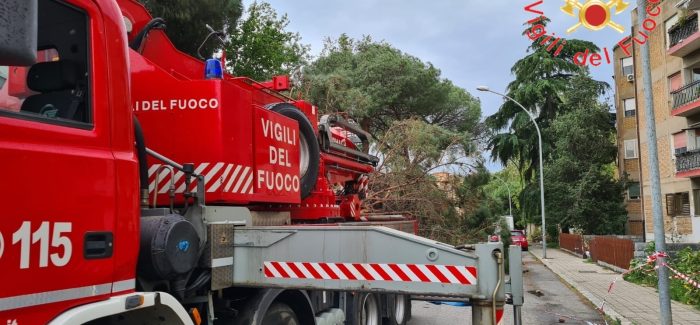 Il maltempo flagella la Calabria,  vento e pioggia in tutta la Regione Provvidenziale l'intervento dei vigili del fuoco 