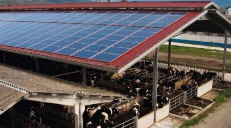 Coldiretti Calabria, PNRR: i pannelli fotovoltaici si possono installare sulle stalle Una buona notizia per l'ambiente e la sovranità energetica