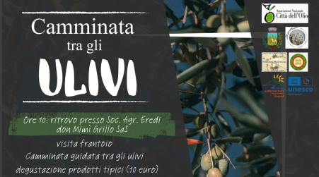 Anche a Ciminà la camminata nazionale tra gli olivi Giornata nazionale della Camminata tra gli Olivi che si terrà domani