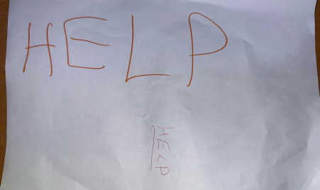 Tre bambine a Reggio Calabria salvano la madre dal padre violento, chiedono aiuto alla polizia con un cartello Dalla strada gli Agenti hanno visto sul balcone dell’appartamento tre bambine che gridavano loro “venite venite siamo qui” ed una di loro mostrava un foglio bianco con la scritta in arancione “HELP”