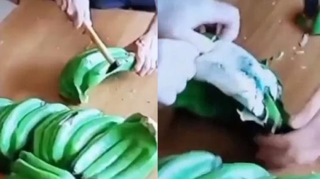 Maxi sequestro di cocaina nascosta dentro finte banane a Gioia Tauro, si è trattato di un carico di oltre 250 kg di sostanza stupefacente